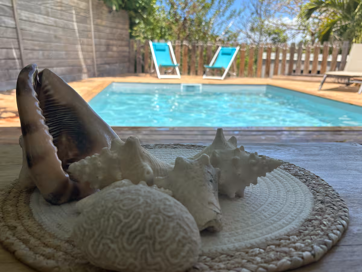 Piscine et maison sous les palmiers